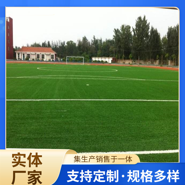 渭南市塑胶篮球场人造草坪 - 一站式服务